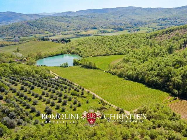 Villa in vendita a Bucine AR