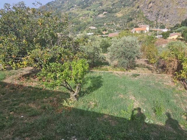 Villa in vendita a Buonvicino CS