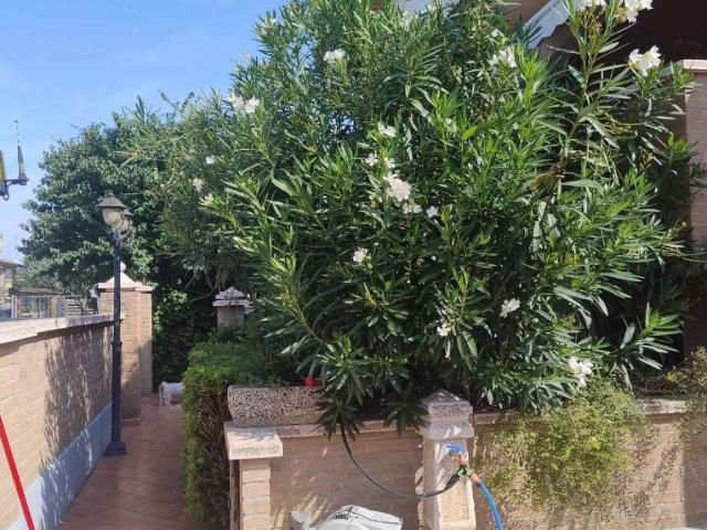 Villa in vendita a Gattatico RE