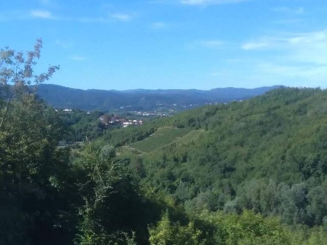 Villa in vendita a Gavi AL