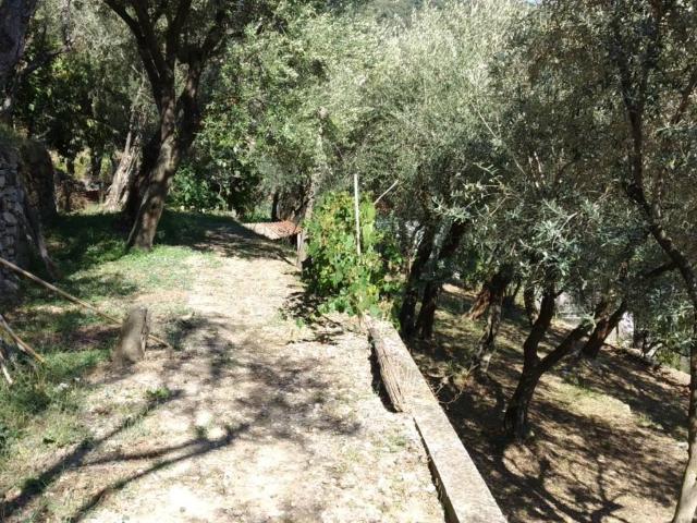Villa in vendita a Genova GE