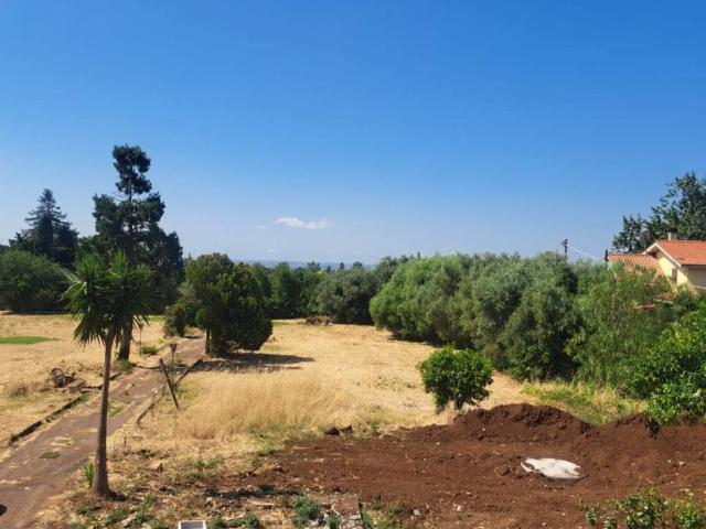 Villa in vendita a Genzano di Roma RM