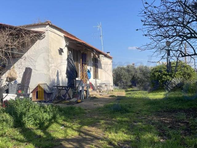 Villa in vendita a Genzano di Roma RM