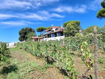Villa in vendita a Genzano di Roma RM