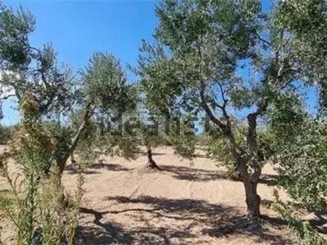 Villa in vendita a Gravina in Puglia BA