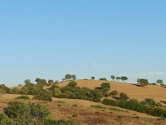 Villa in vendita a Grosseto GR