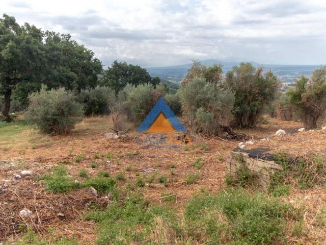 Villa in vendita a Guardea TR
