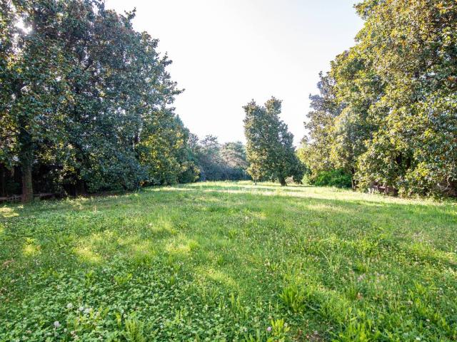 Villa in vendita a Dolo VE