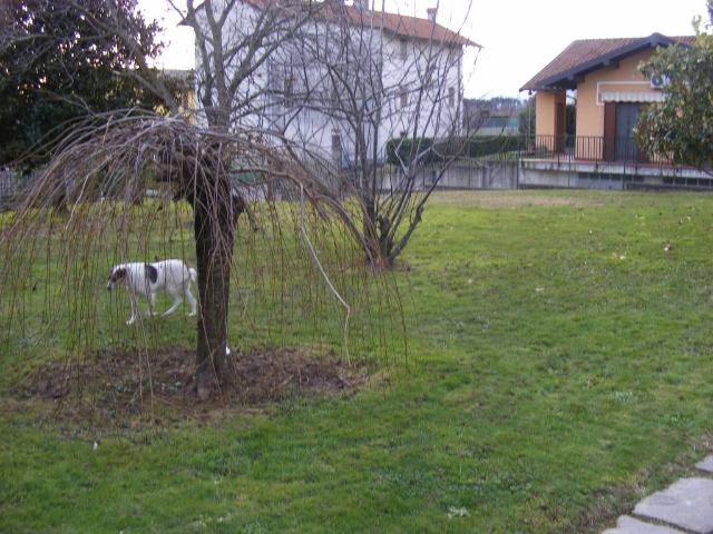 Villa in vendita a Divignano NO
