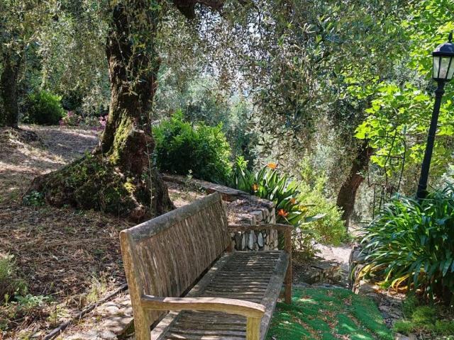 Villa in vendita a Diano San Pietro IM