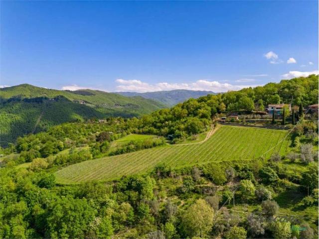Villa in vendita a Dicomano FI