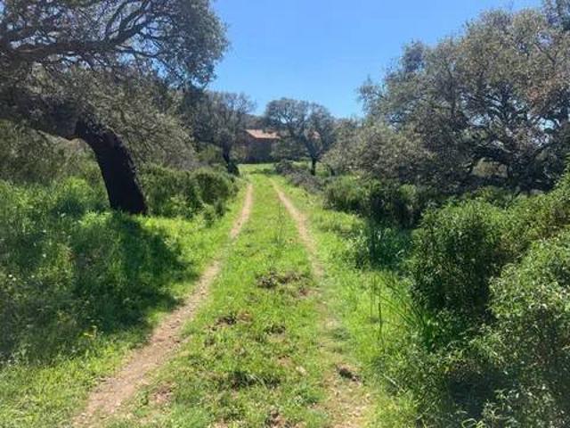 Villa in vendita a Erula SS