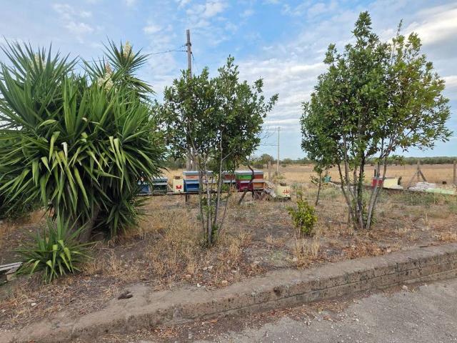 Villa in vendita a Foggia FG