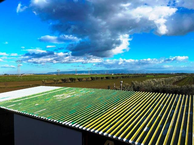 Villa in vendita a Foggia FG