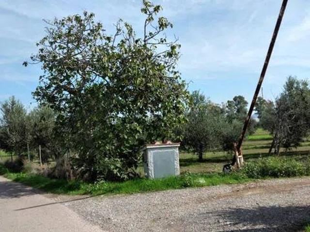 Villa in vendita a Follonica GR