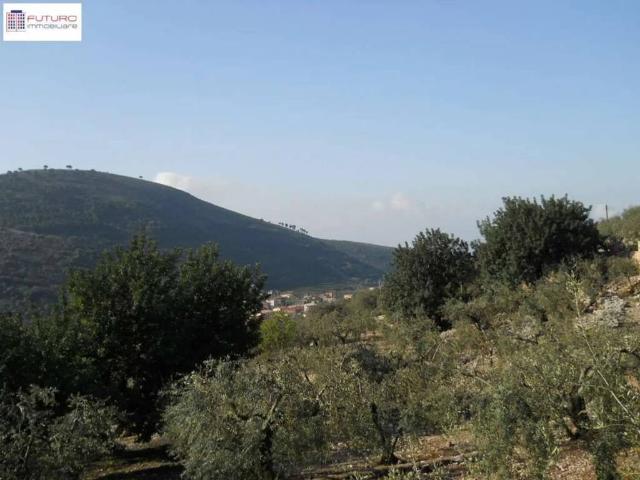 Villa in vendita a Fondi LT
