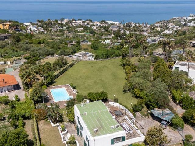 Villa in vendita a Forio NA