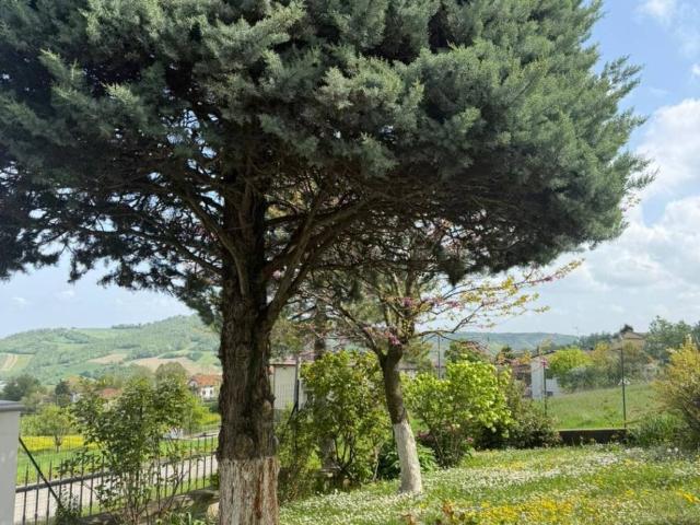 Villa in vendita a Fornovo di Taro PR