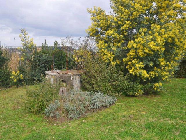 Villa in vendita a Fauglia PI