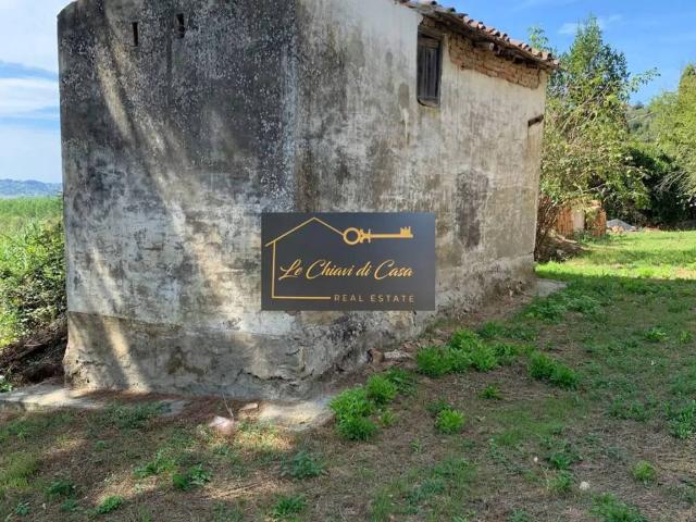 Casa indipendente in vendita a Fauglia PI
