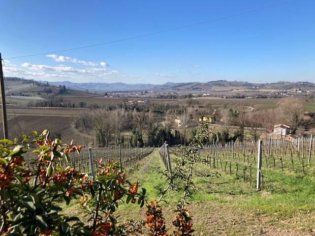 Villa in vendita a Faenza RA