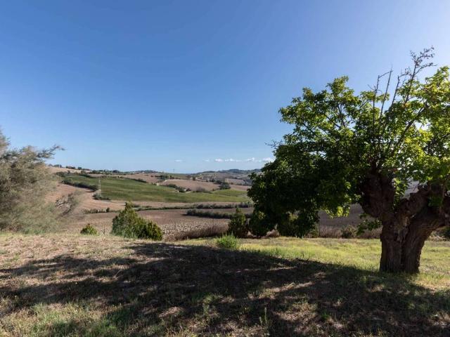 Villa in vendita a Fano PU