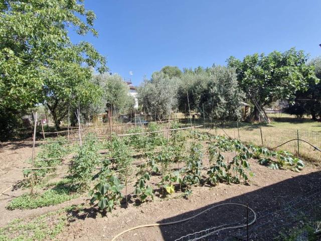 Villa in vendita a Fara in Sabina RI