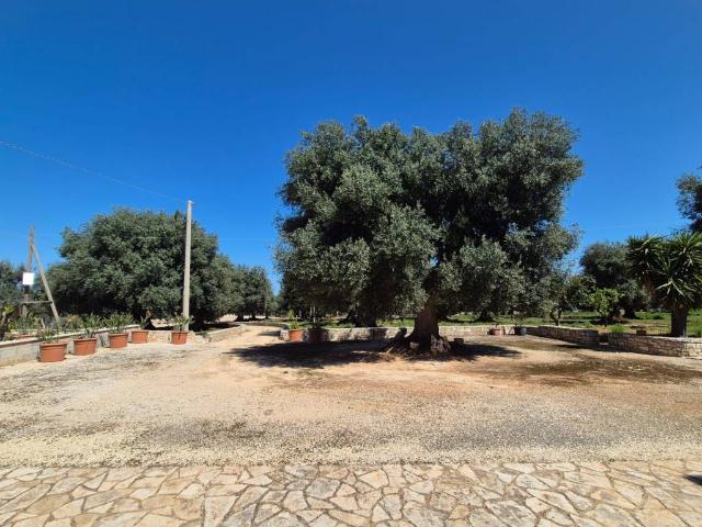 Villa in vendita a Fasano BR