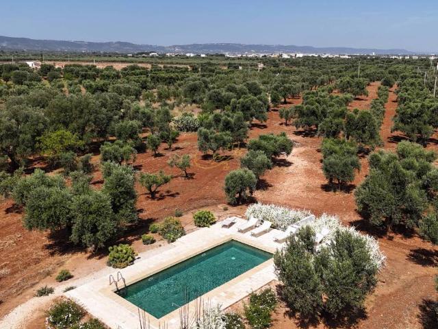 Villa in vendita a Fasano BR