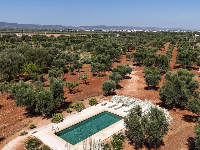Villa in vendita a Fasano