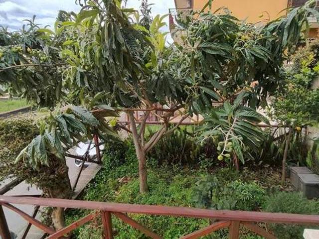 Villa in vendita a Fiumefreddo di Sicilia CT