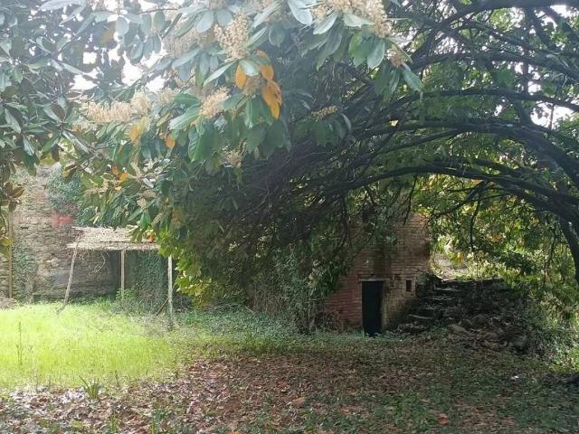 Villa in vendita a Fivizzano MS
