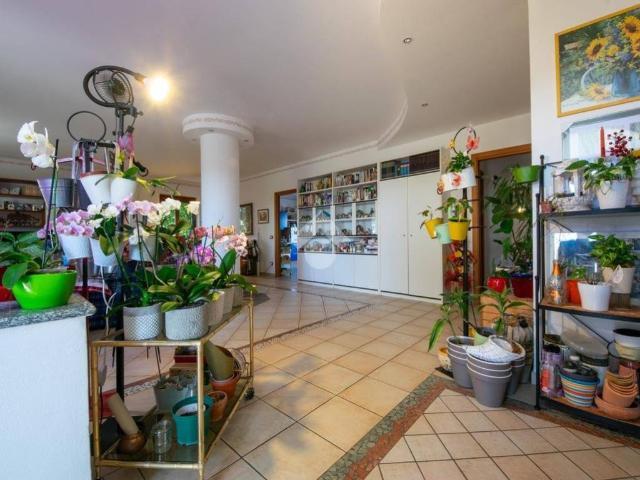 Villa in vendita a Frassineto Po AL
