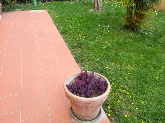 Villa in vendita a Fucecchio FI