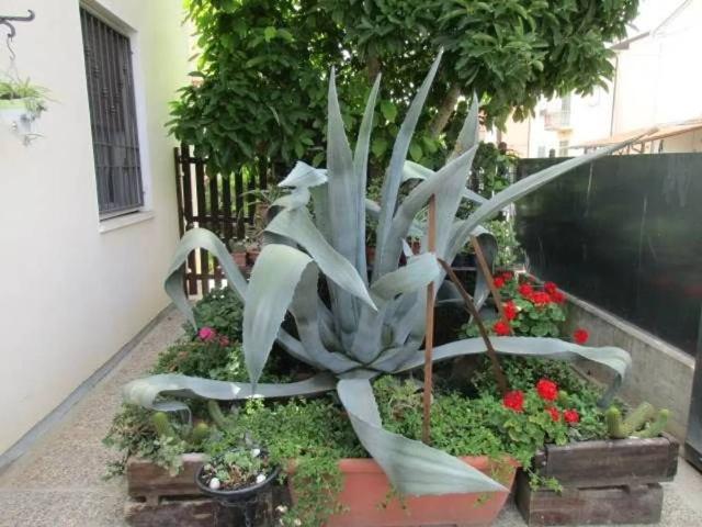 Villa in vendita a Fusignano RA