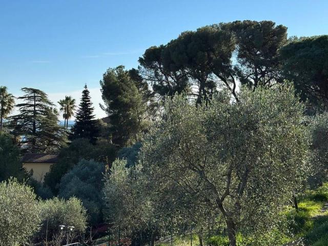 Villa in vendita a Imperia IM