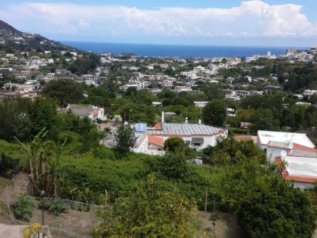 Villa in vendita a Ischia NA