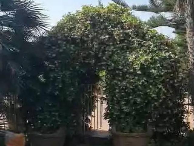 Villa in vendita a Ischia NA