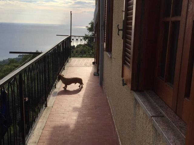 Villa in vendita a Joppolo VV