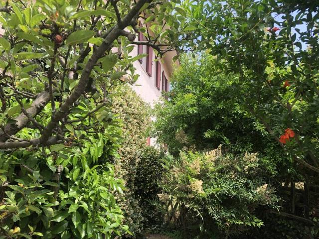 Villa in vendita a Offagna AN