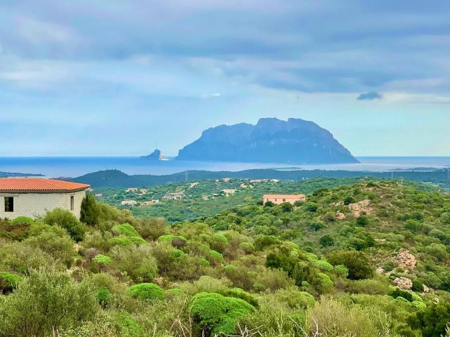 Villa in vendita a Olbia