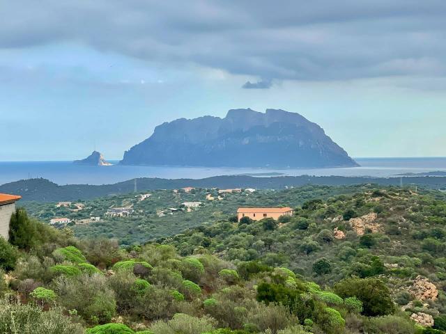Villa in vendita a Olbia, Murta Maria