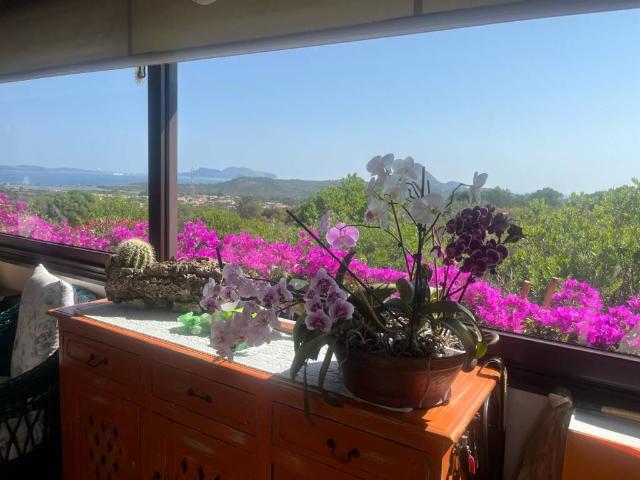 Villa in vendita a Olbia OT