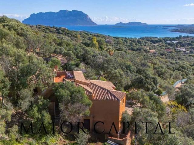 Villa in vendita a Olbia OT