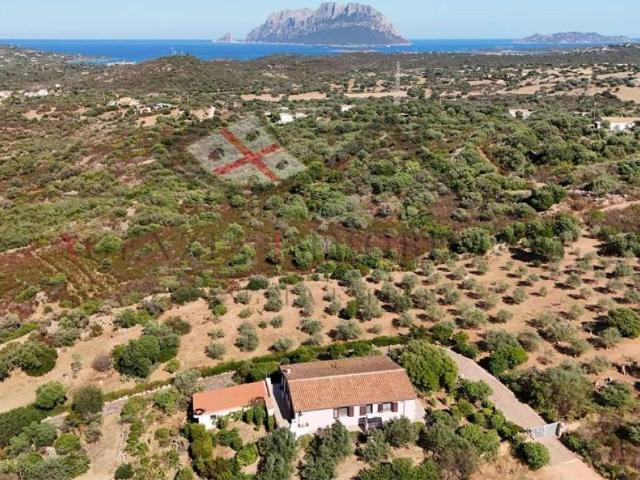 Villa in vendita a Olbia OT