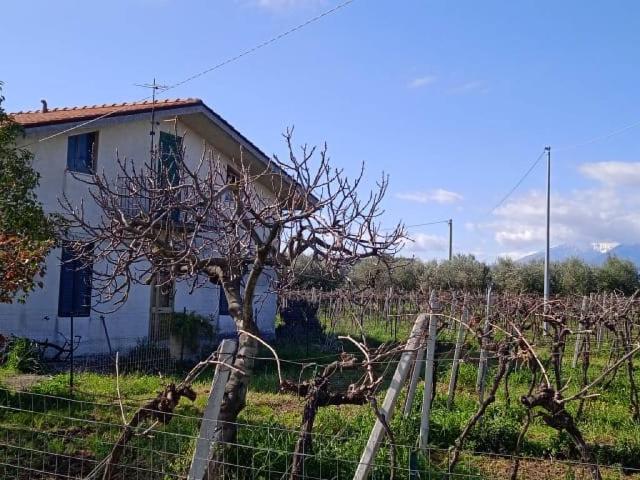 Villa in vendita a Ortona CH
