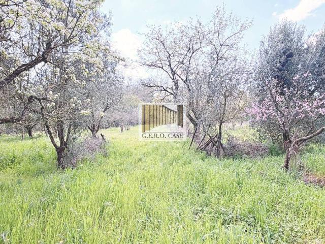 Villa in vendita a Orvieto TR