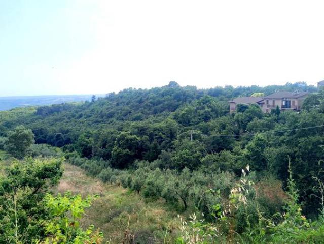 Villa in vendita a Orvieto TR
