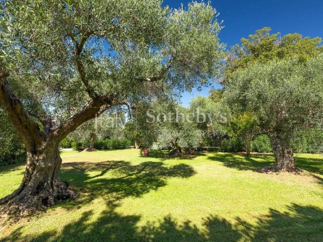 Villa in vendita a Orbetello GR
