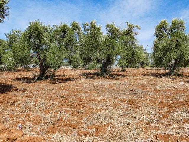 Villa in vendita a Ostuni BR